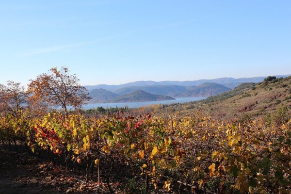 Saint-Geniès-de-Fontedit (Hérault) – Étude de faisabilité pour la création d’un hébergement touristique sur le site de Boulhonnac