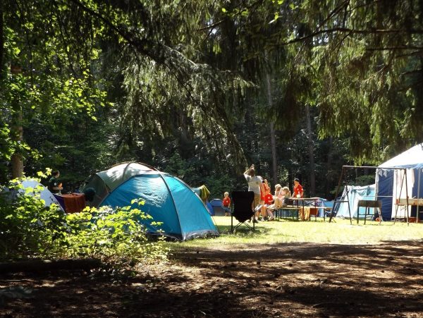 Communauté de Communes de la Dombes (Ain) – Assistance à Maitrise d’ouvrage pour la mise en œuvre d’un mode de gestion du camping « Le Nid du Parc » à Villars les Dombes
