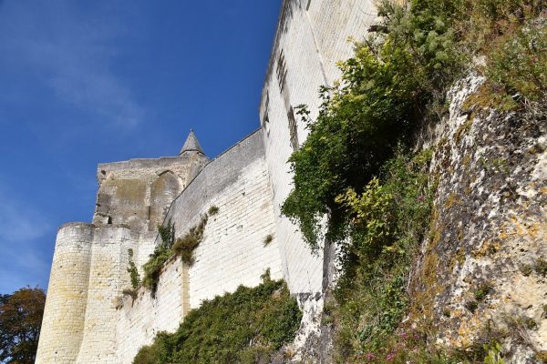Loches Sud Touraine (Indre-et-Loire) – Espace Naturel Sensible « Les Prairies du Roy » – Étude de cadrage préalable au lancement d’un appel à projet