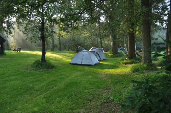 Flower Campings – Réalisation des audits qualité du groupement