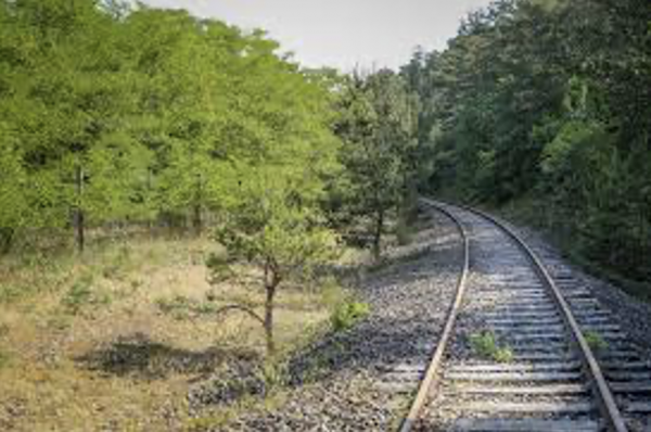 Étude de faisabilité pour un train touristique dans la Vallée de la Juine